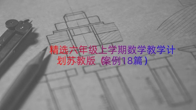 精选六年级上学期数学教学计划苏教版（案例18篇）