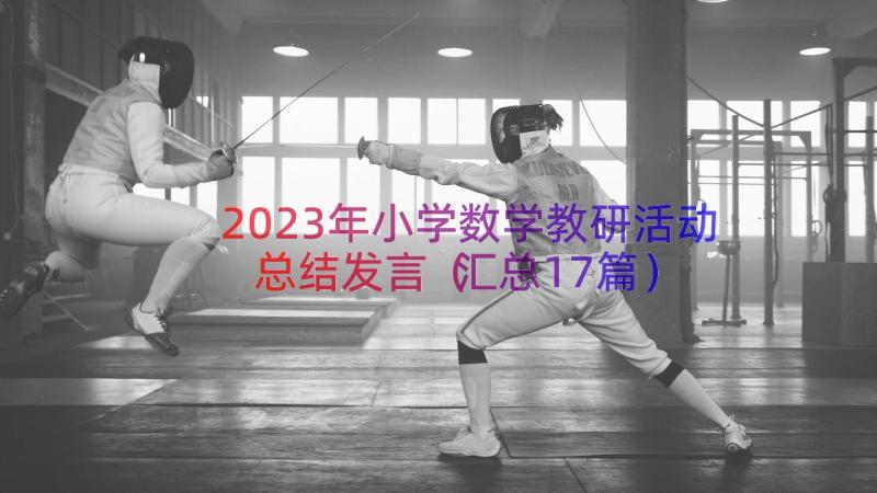 2023年小学数学教研活动总结发言（汇总17篇）