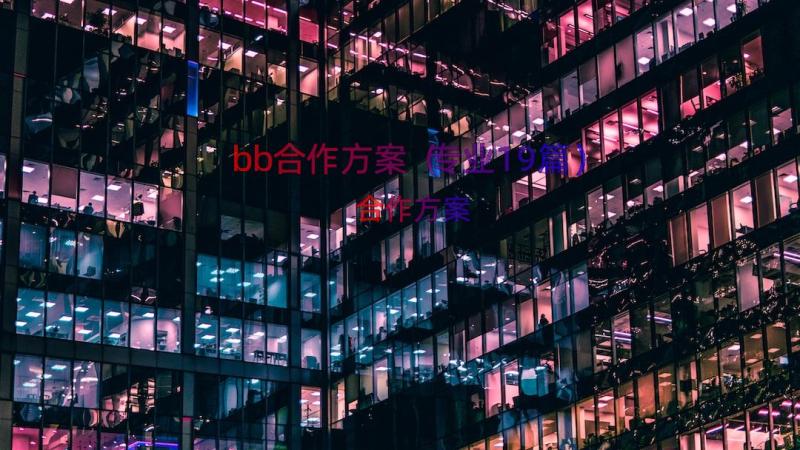 bb合作方案（专业19篇）