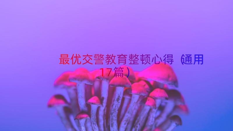 最优交警教育整顿心得（通用17篇）