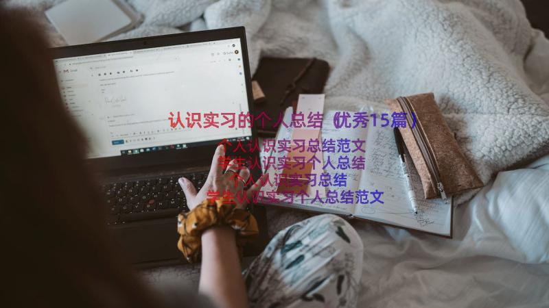 认识实习的个人总结（优秀15篇）