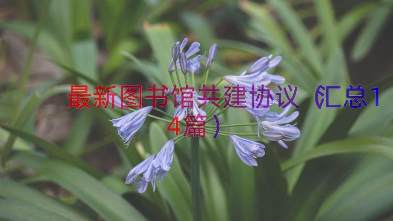 最新图书馆共建协议（汇总14篇）