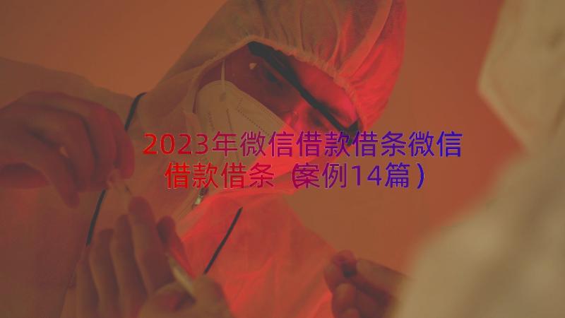 2023年微信借款借条微信借款借条（案例14篇）