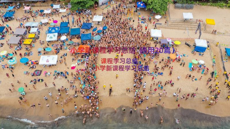 小学新课程学习总结（通用20篇）