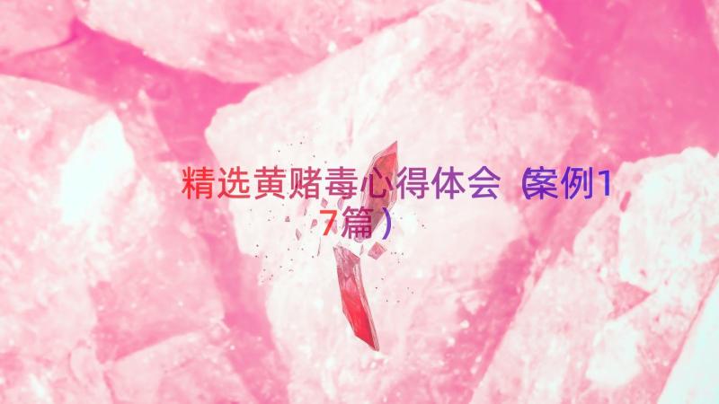 精选黄赌毒心得体会（案例17篇）