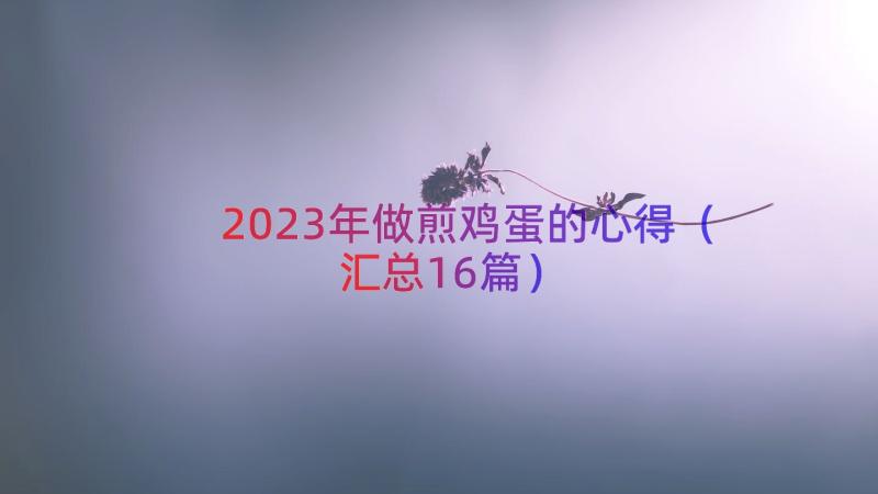 2023年做煎鸡蛋的心得（汇总16篇）