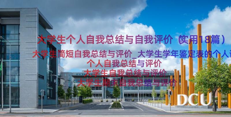 大学生个人自我总结与自我评价（实用18篇）