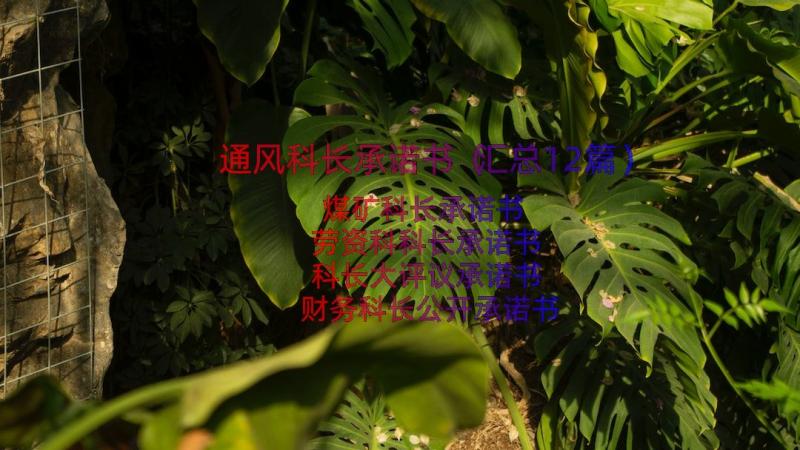 通风科长承诺书（汇总12篇）