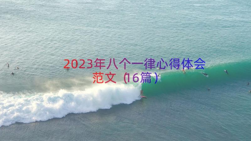 2023年八个一律心得体会范文（16篇）