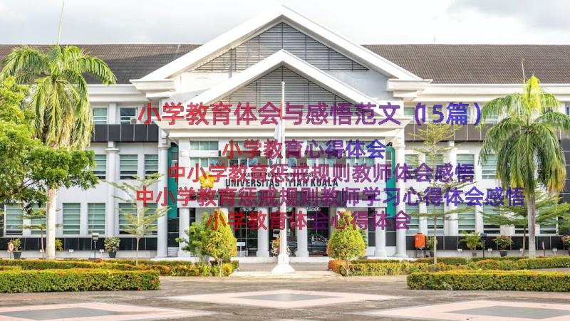 小学教育体会与感悟范文（15篇）