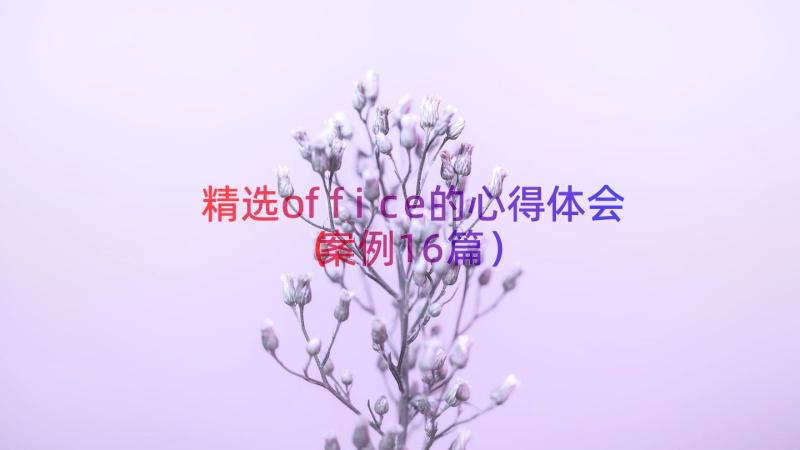 精选office的心得体会（案例16篇）