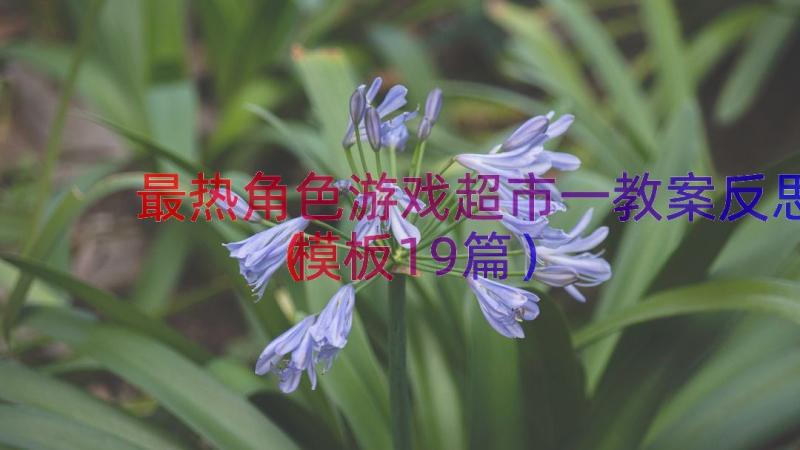 最热角色游戏超市一教案反思（模板19篇）