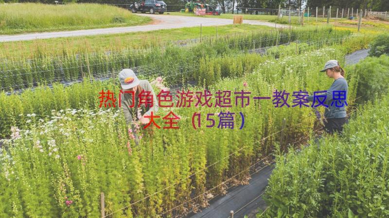 热门角色游戏超市一教案反思大全（15篇）