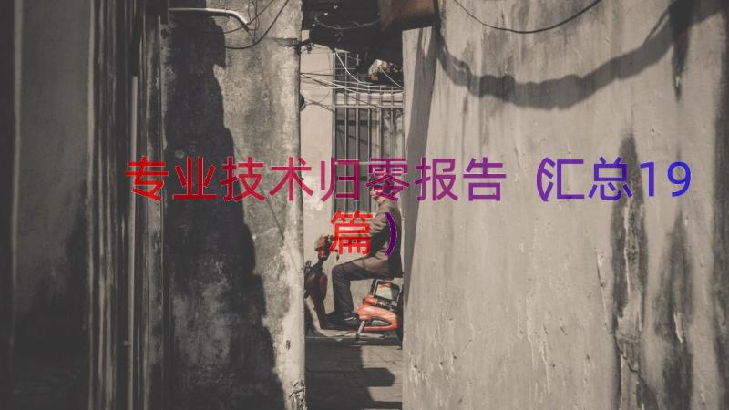 专业技术归零报告（汇总19篇）