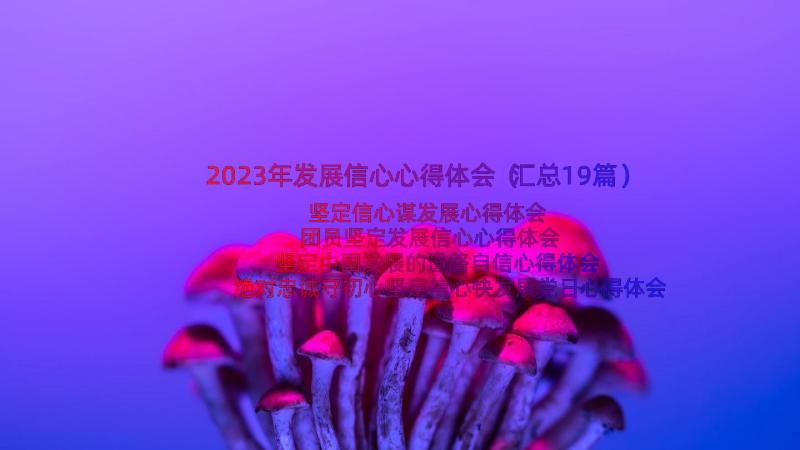 2023年发展信心心得体会（汇总19篇）