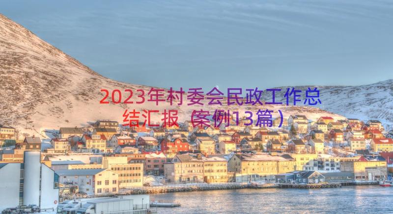 2023年村委会民政工作总结汇报（案例13篇）