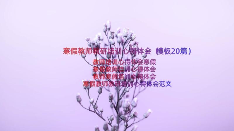 寒假教师教研培训心得体会（模板20篇）