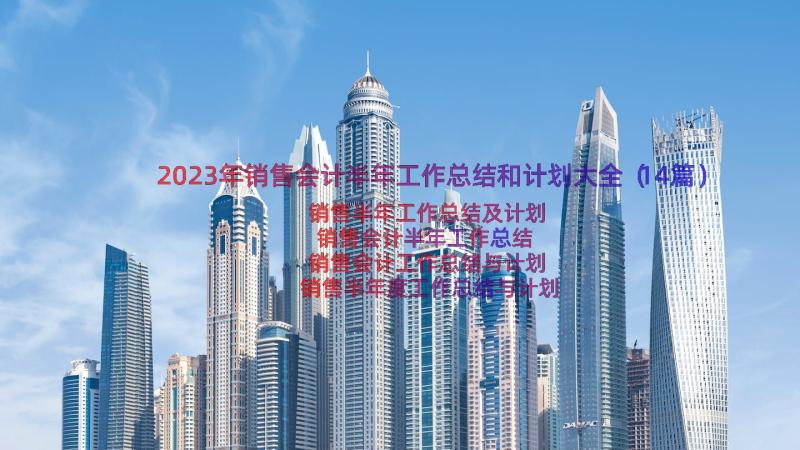 2023年销售会计半年工作总结和计划大全（14篇）