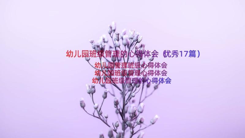 幼儿园班级管理的心得体会（优秀17篇）