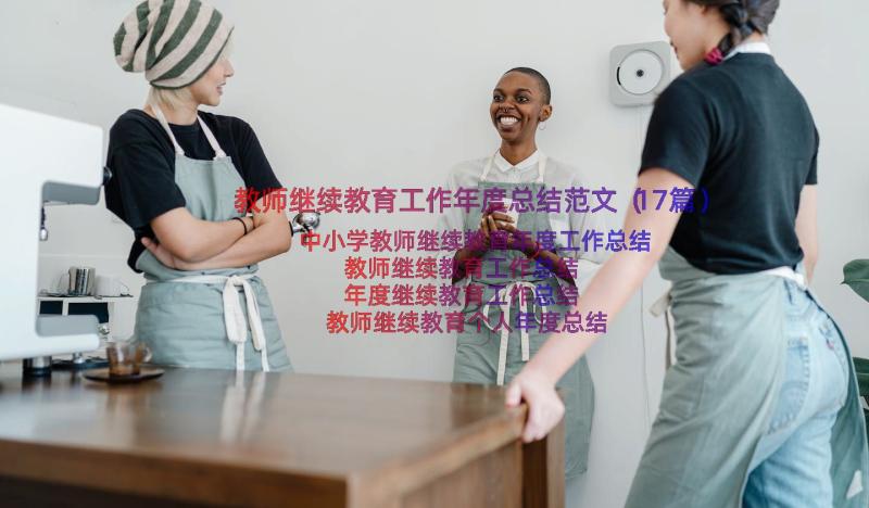 教师继续教育工作年度总结范文（17篇）