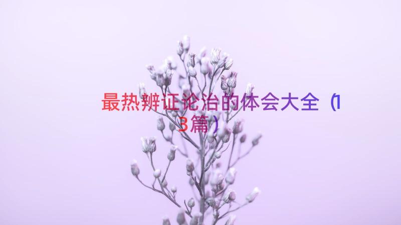 最热辨证论治的体会大全（13篇）