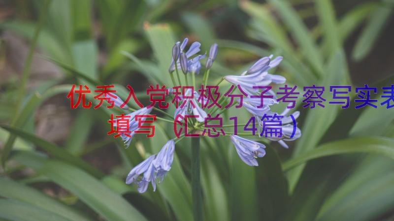 优秀入党积极分子考察写实表填写（汇总14篇）