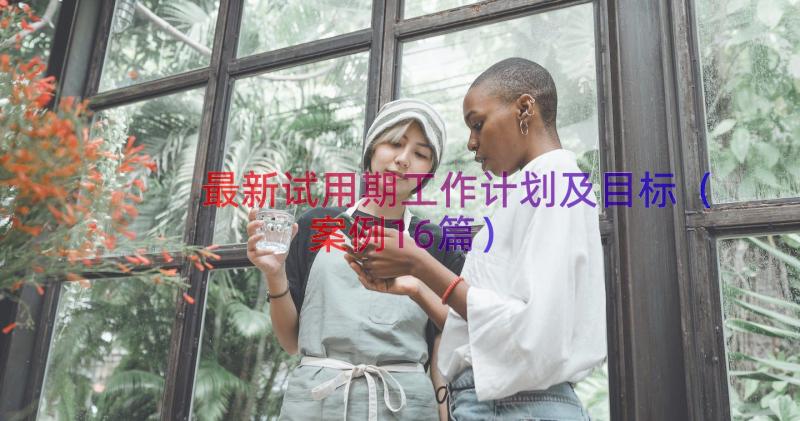 最新试用期工作计划及目标（案例16篇）