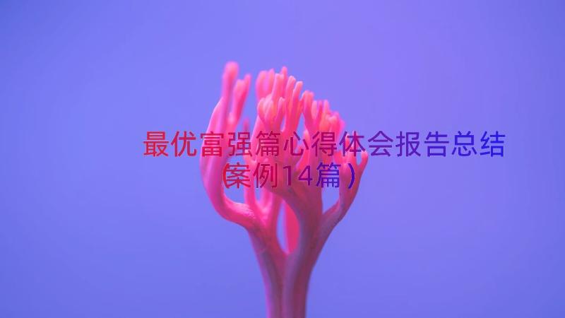 最优富强篇心得体会报告总结（案例14篇）