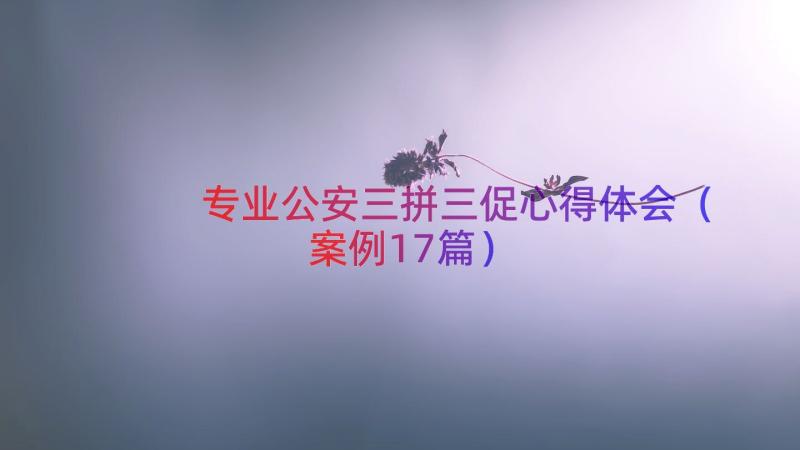 专业公安三拼三促心得体会（案例17篇）