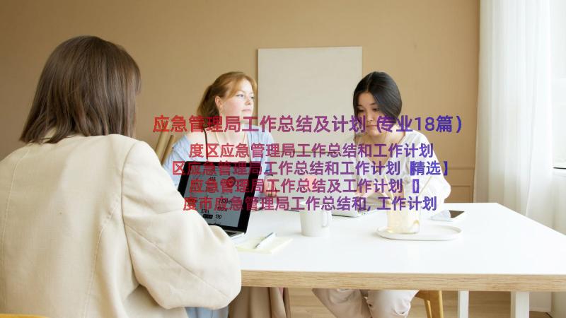 应急管理局工作总结及计划（专业18篇）