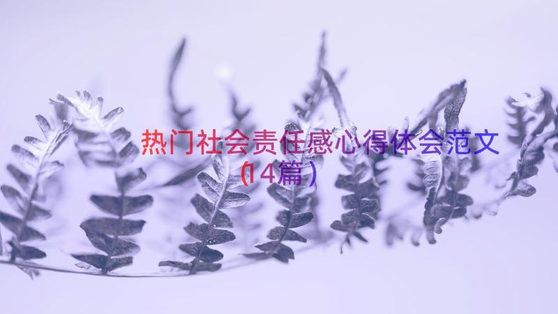 热门社会责任感心得体会范文（14篇）