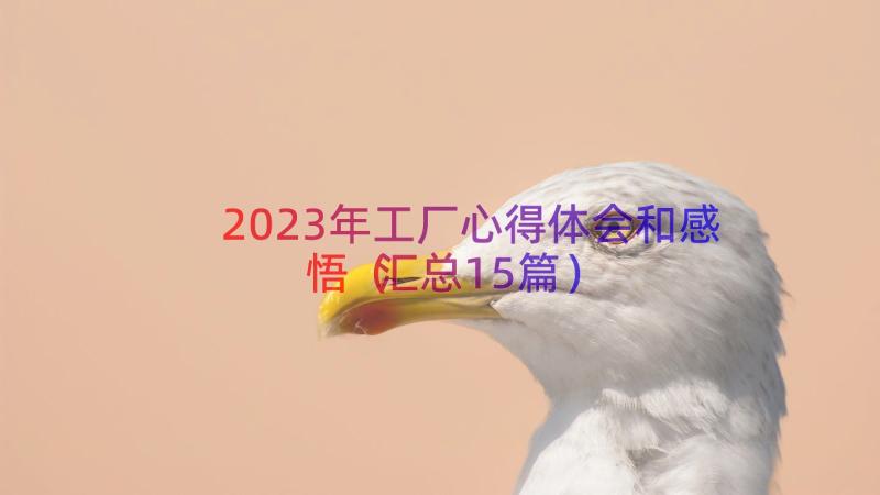 2023年工厂心得体会和感悟（汇总15篇）