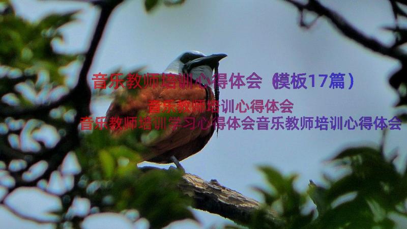 音乐教师培训心得体会（模板17篇）