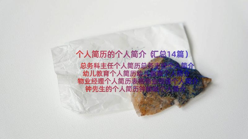 个人简历的个人简介（汇总14篇）