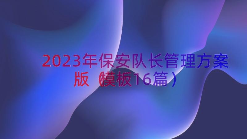 2023年保安队长管理方案版（模板16篇）