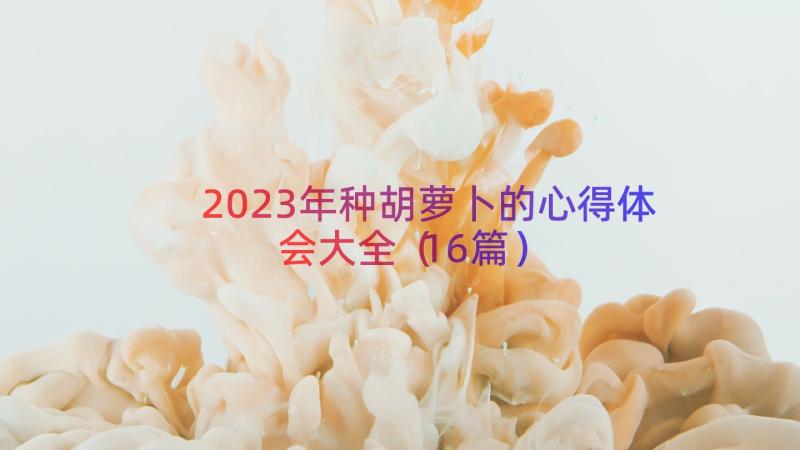 2023年种胡萝卜的心得体会大全（16篇）