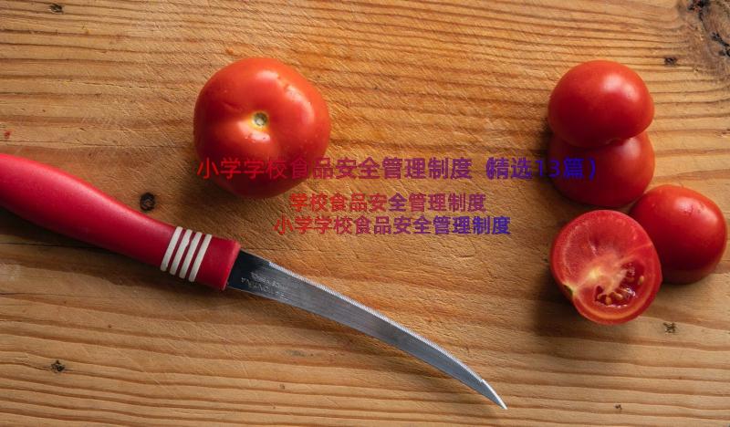 小学学校食品安全管理制度（精选13篇）