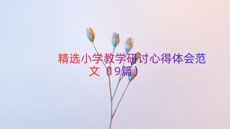 精选小学教学研讨心得体会范文（19篇）