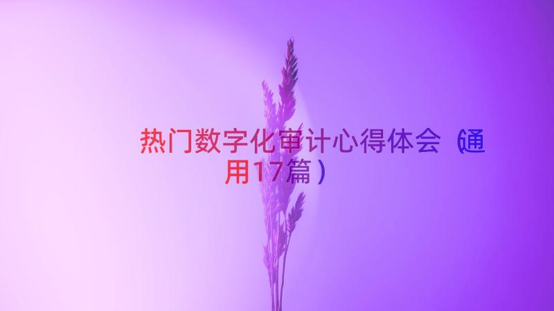 热门数字化审计心得体会（通用17篇）