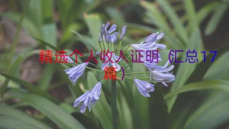 精选个人收入证明（汇总17篇）