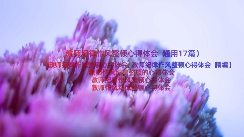 教师纪律作风整顿心得体会（通用17篇）