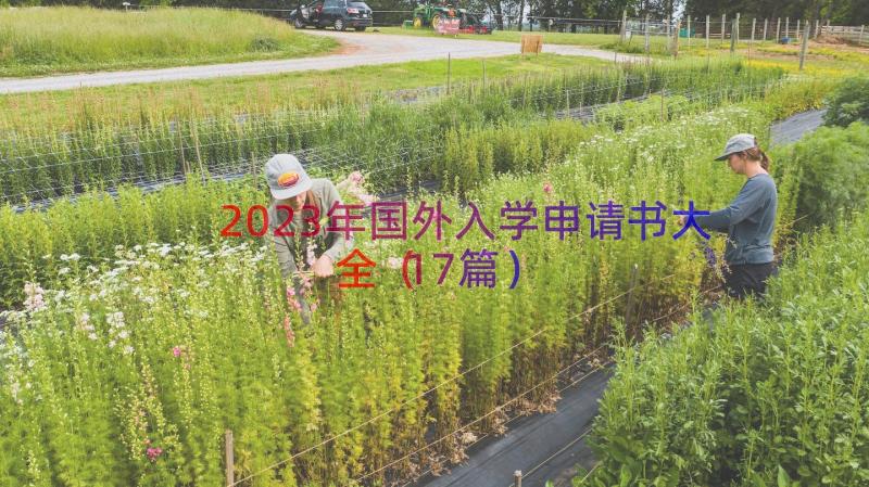 2023年国外入学申请书大全（17篇）