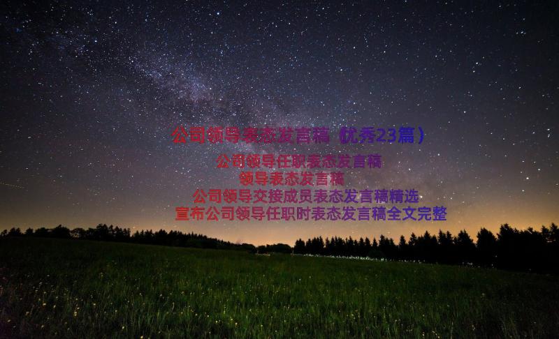 公司领导表态发言稿（优秀23篇）