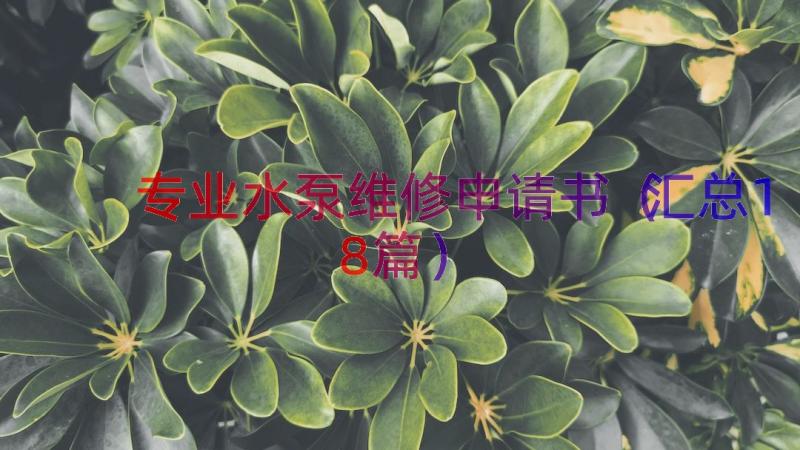 专业水泵维修申请书（汇总18篇）