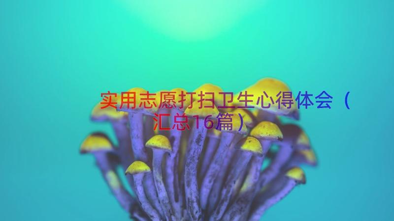 实用志愿打扫卫生心得体会（汇总16篇）