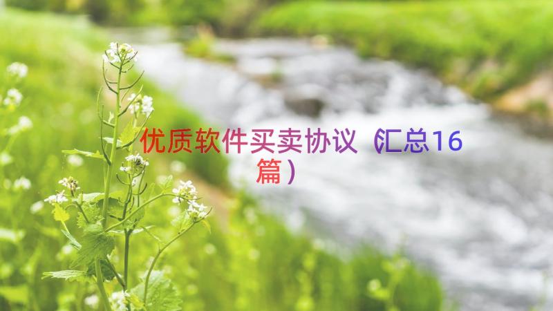 优质软件买卖协议（汇总16篇）