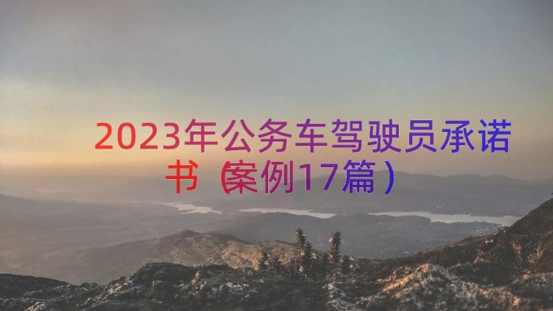 2023年公务车驾驶员承诺书（案例17篇）