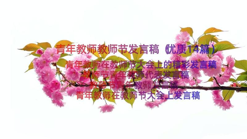 青年教师教师节发言稿（优质14篇）