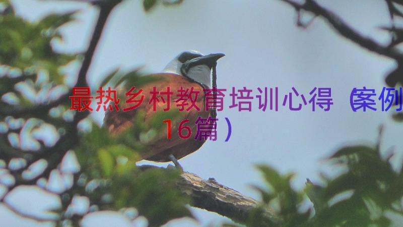 最热乡村教育培训心得（案例16篇）