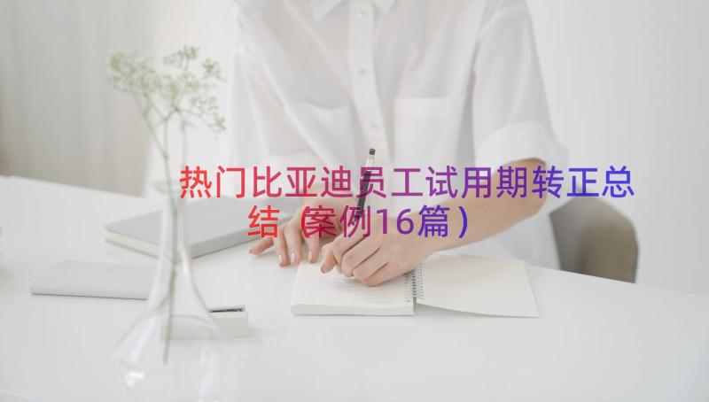 热门比亚迪员工试用期转正总结（案例16篇）